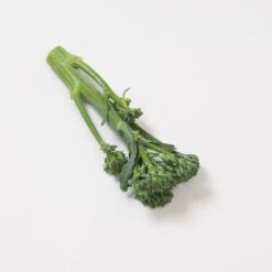 Happy Rich -Bloom & Harvest Supplies 02629 02 happyrich