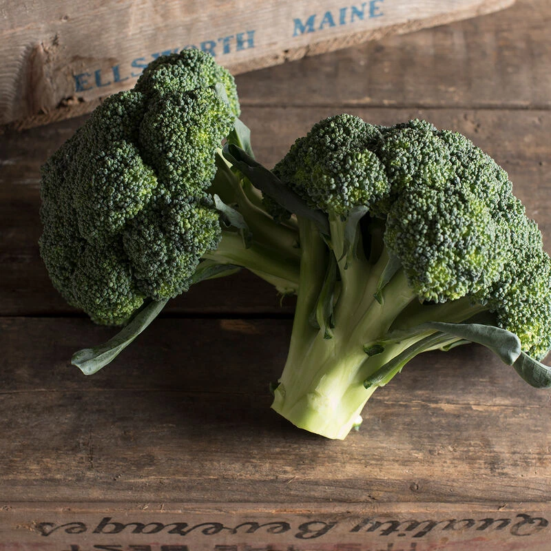 Amadeus 2 Amadeus - Image 2