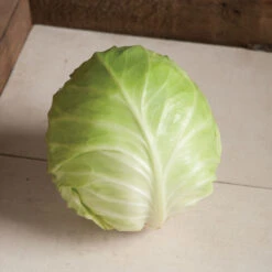 Primo Vantage -Bloom & Harvest Supplies 03231 03 primovantage