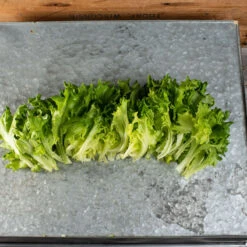 Front Page -Bloom & Harvest Supplies 04185jp 02 salanova green batavia