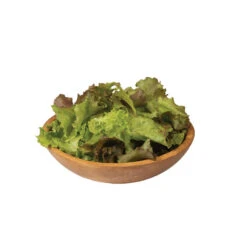 Red Sails -Bloom & Harvest Supplies 0431g 04 redsails