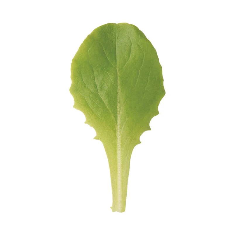 Buttercrunch 2 Buttercrunch - Image 2