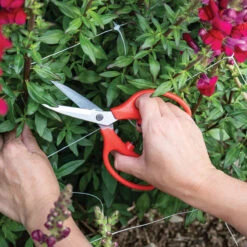 Front Page -Bloom & Harvest Supplies 06251 02 all purpose shears