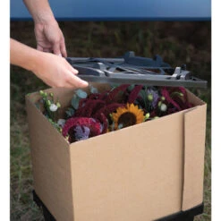 Valencia Lid -Bloom & Harvest Supplies 07931 04 valencialid