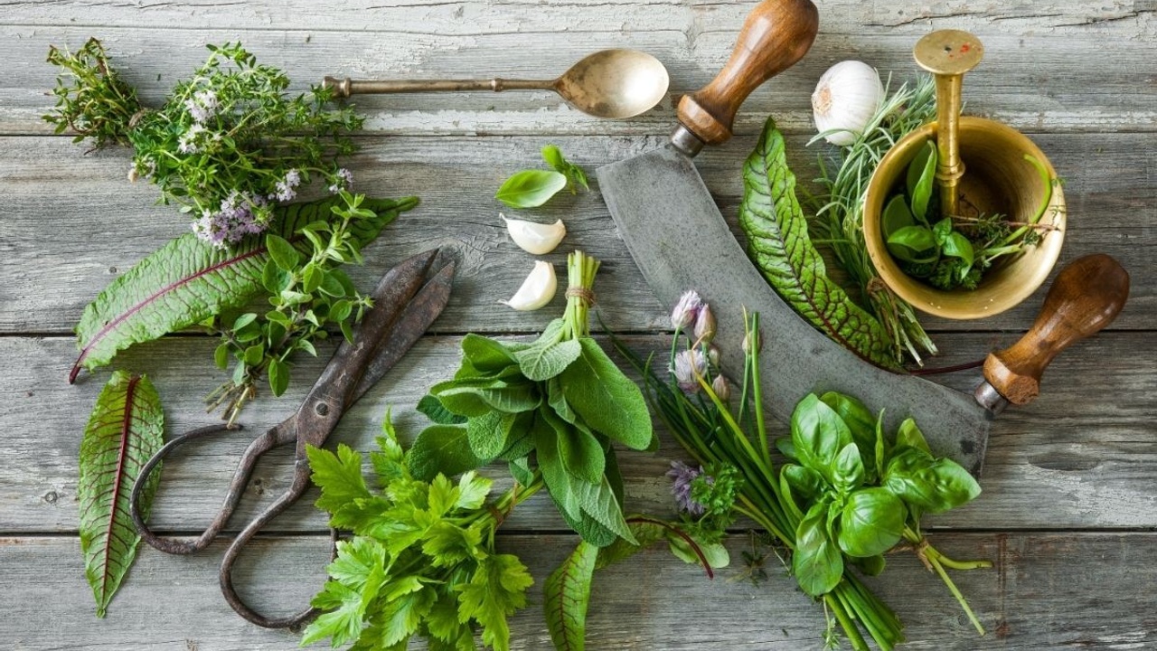 Front Page 2 Front Page -Bloom & Harvest Supplies